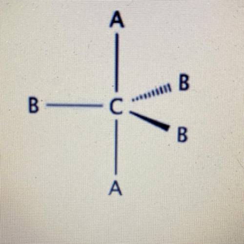In a system with 4 atoms￼ and 1 lone pair, predict whether the lone pair will be in a B site or an