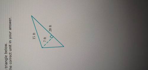 Find find the area of the triangle below