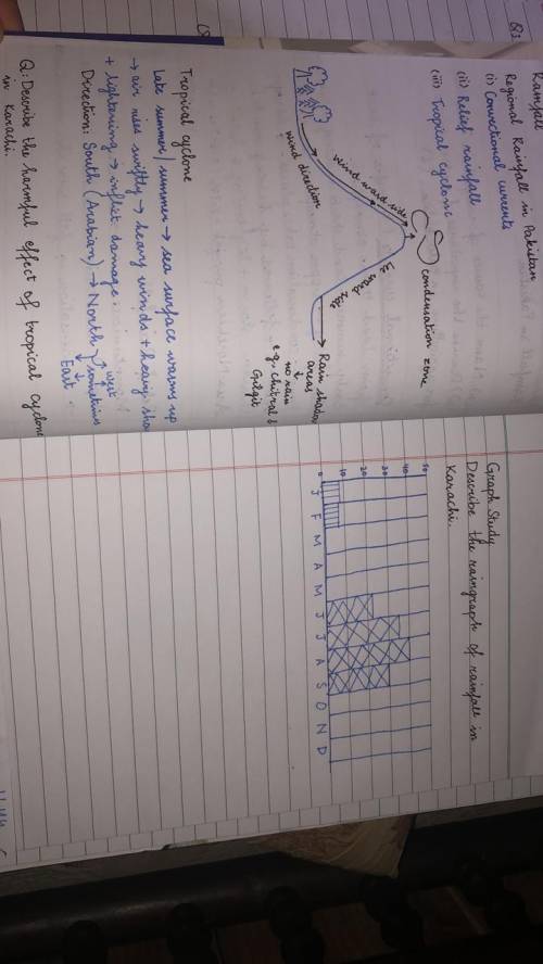 Describe the rain graph of rainfall in karach, pakistan.

p.s the picture is for only the graph.