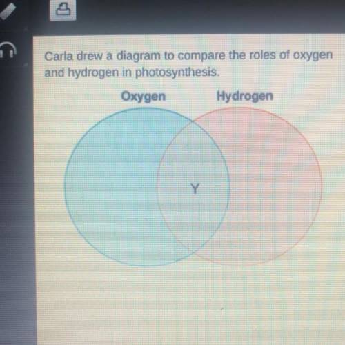 Which belongs in the area marked X?

O Energy is released.
O Oxygen is used up.
O Glucose is broke