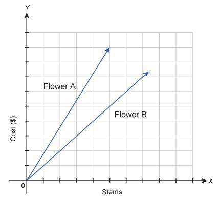 This graph shows the costs of purchasing two types of flowers. Which statement is true? Flower A is