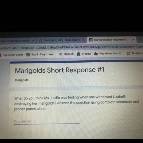 Marigolds Short Response #1

Marigolds
What do you think Ms. Lottie was feeling when she witnessed