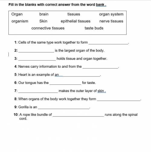Can someone help me with the worksheet below
 

P.S i am not in college im in 5th grade but i thoug