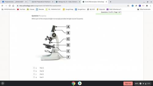 Which part of the compound light microscope provides the light source? (4 points)