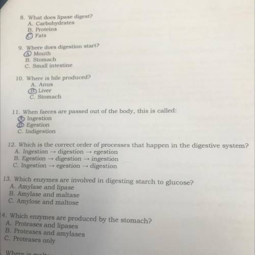 Answer number 12please