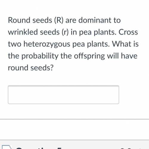 Round seeds question