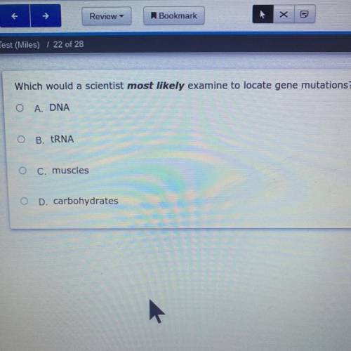 Which would a scientist most likely examine to locate gene mutations?