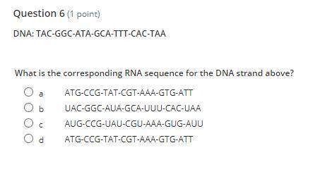 What is the corresponding RNA sequence for the DNA strand above?