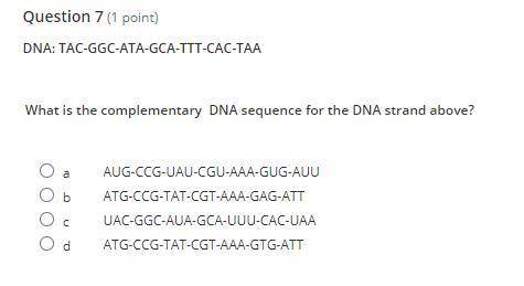 What is the complementary DNA sequence for the DNA strand above?