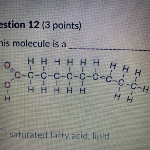 This molecule is a and it is classified as

A.) saturated fatty acid, lipid
B.) saccharide, carboh