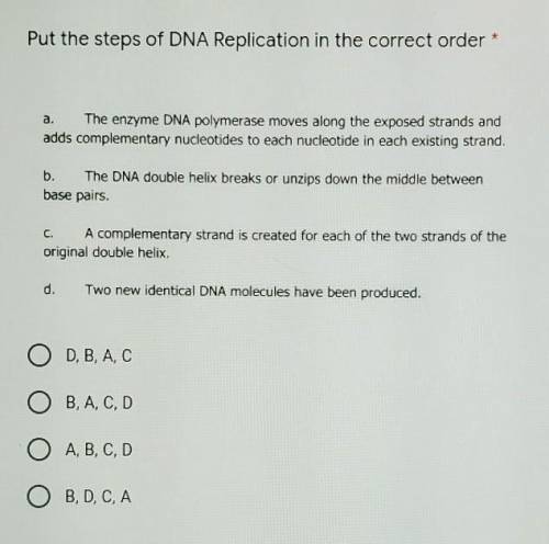 Put the steps of DNA Replication in the correct order