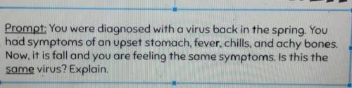 Prompt: You were diagnosed with a virus back in the spring. You had symptoms of an upset stomach, f