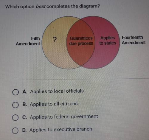Which option best completes the diagram with the fifth amendment? Fifth amendment and Fourteenth Am
