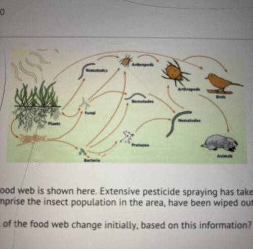 ILL MARK A model of a typical food web is shown here. Extensive pesticide spraying has tak