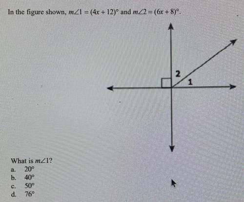 Please help! What is rhe answer to this question?