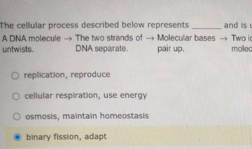 The cellular process described below represents __________ and is used by bacteria in order to ____