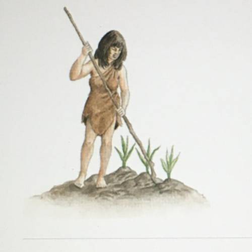 How does this image represent the Neolithic Revolution?

A. It shows that farming led to a need fo