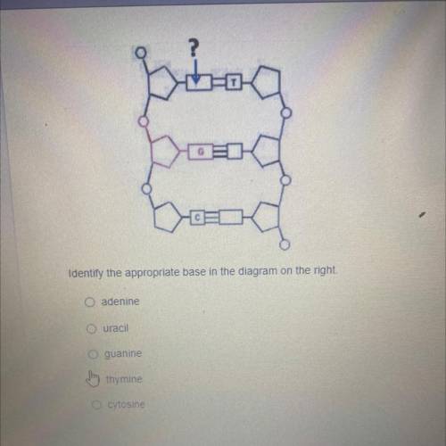 Help me with this ASAP
