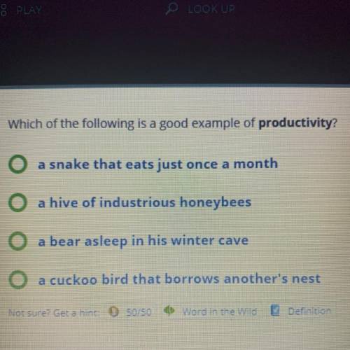 Which of the following is a good example of productivity?

Please help I will mark as brilliant!!!
