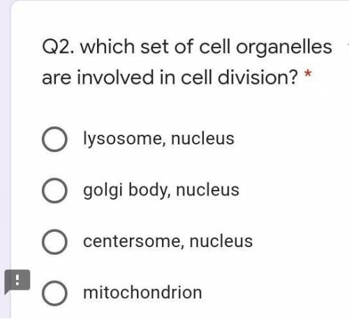 Which set of cell organelle are involved in cell division