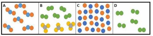 Which boxes represent pure substances?

Answer Choices
A and D
A, B and D
All of these
D only