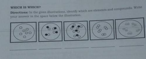 WHICH IS WHICH?

Directions: In the given illustrations, identify which are elements and compounds