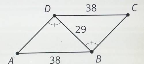 Figure ABCD is a parallelogram. Is triangle ADB congruent to triangle CBD? Show or explain your rea