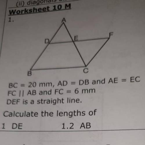 Calculate this for me please!