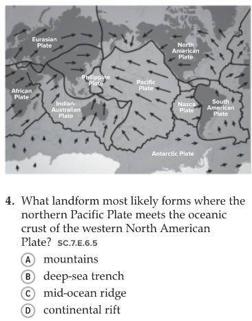 What landform most likely forms where the northern pacific plate meets the oceanic crust of the wes