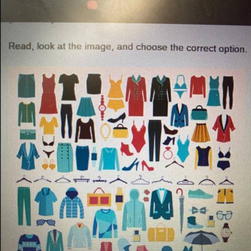 Look at the image, and choose the correct option

O La camisa 
O La ropa 
O El uniforme 
O El pant