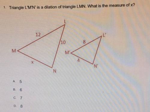 1. Triangle L'M'N' is a dilation of triangle LMN. What is the measure of x?

A. 5 B. 6 C. 7 D. 8