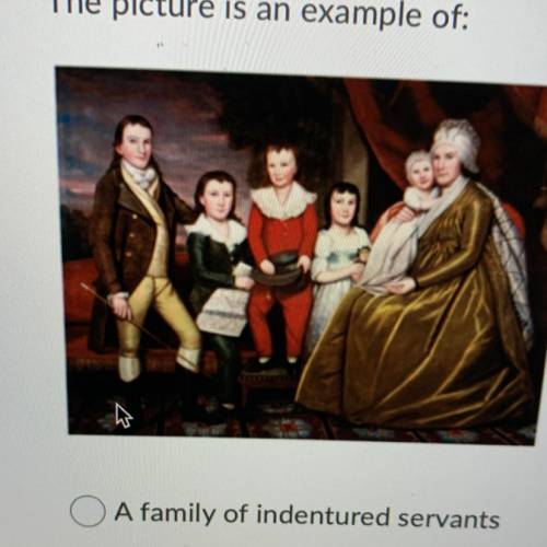 The picture is an example of:

A family of indentured servants
An aristocratic European family
A w