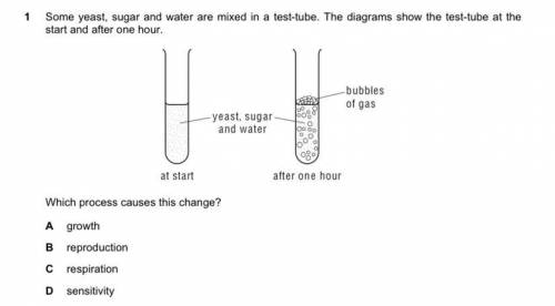 A yeast, Saccharomyces cerevisiae, glucose and water are mixed in a test tube. The diagrams shows t