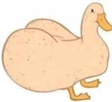Someone PLEASE help
why this duck so thicc it made me dizzy