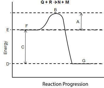 Consider the diagram below.

What does C represent?
A) enthalpy of reaction
B) activation energy
C