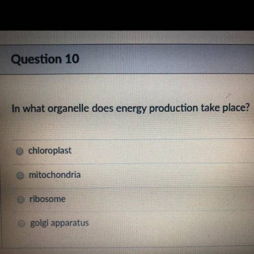 In what organelle does energy production take place?