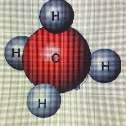 PLS ANSWER QUICK!

What would the formula be for this model above?
4CH4
C8H4
CH4
CH8