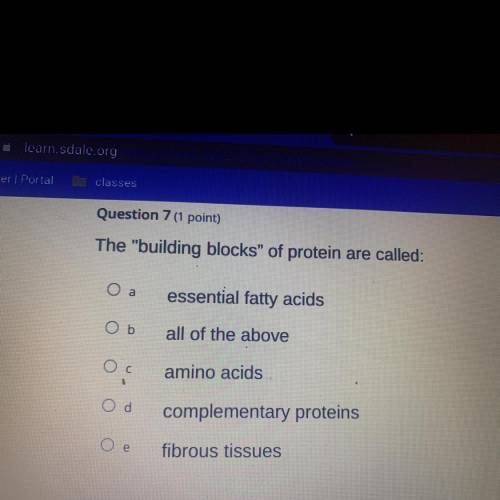 The building blocks of protein are called?