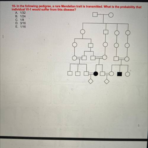 16- In the following pedigree, a rare Mendelian trait is transmitted. What is the probability that