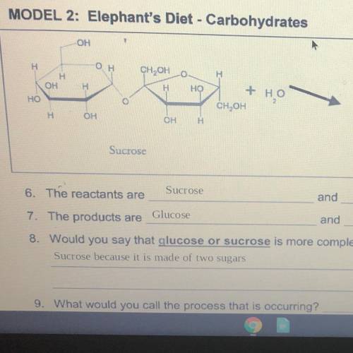 What is the elephant getting when the bond is broken in sucrose?