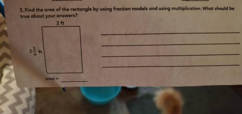 Find the area of the rectangle by using fraction models and using multiplication. What should be tr