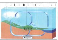 Look at the diagram below. Which part shows transpiration happening? *70 pints*

A 1
B 3
C 5
D 2