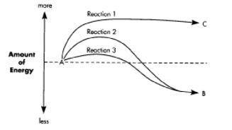 1. In Figure 1, which reaction requires more energy to start (higher activation energy)?

2. If Re
