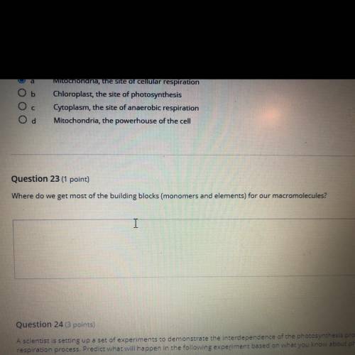 I just need the answer to question 23. Please help me..