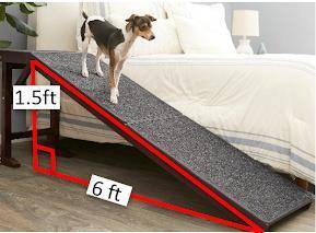 Carl’s dog, Alice, has a pet ramp she uses to go up the bed. A picture of Alice on her pet ramp is