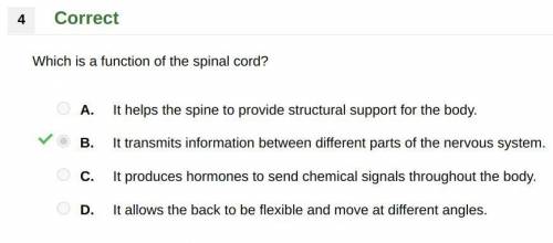 Which is a function of the spinal cord?

A. It helps the spine to provide structural support for t
