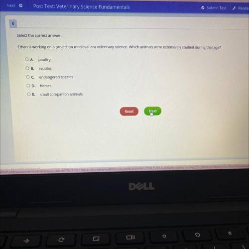 Select the correct answer.

Ethan is working on a project on medieval-era veterinary science. Whic