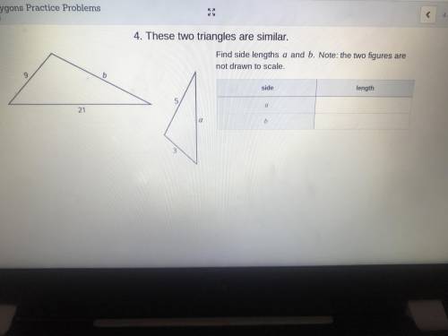 Please help on this I’m confused