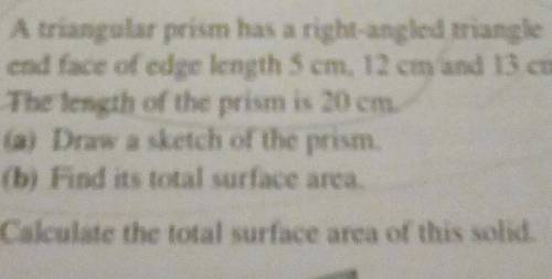 Draw a sketch of a right angle triangle prism with length 5cm, 12 cm , 13cm and a base length of 20