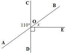 Lines

AB
and 
CD
(if shown) are straight lines. Find x. Give reasons to justify your solutions.
S